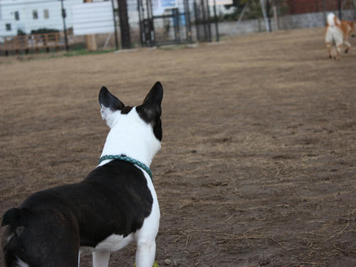 20090310_jonanjima_shio12.jpg