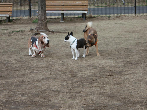 20090310_jonanjima_shio11.jpg