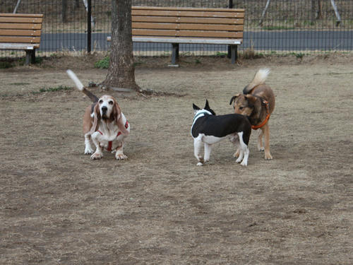 20090310_jonanjima_shio10.jpg