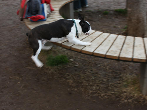 20090310_jonanjima_shio04.jpg