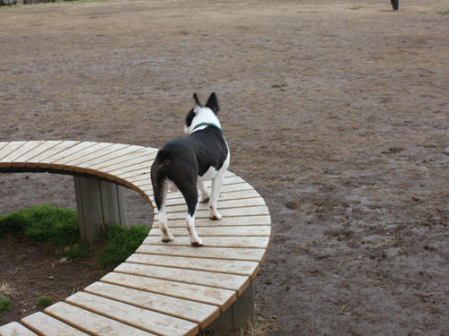 20090310_jonanjima_shio02.jpg