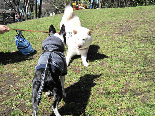20090315_kouryoupark05.jpg
