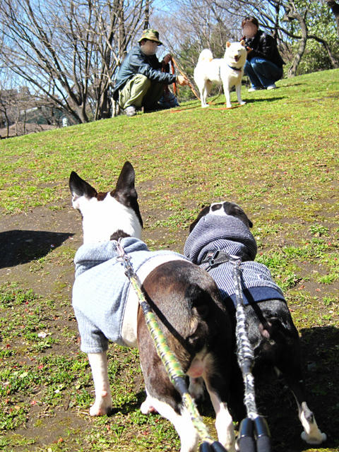 20090315_kouryoupark06.jpg
