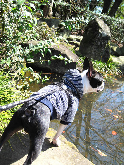 20090315_kouryoupark08.jpg