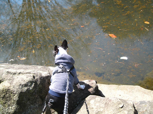 20090315_kouryoupark09.jpg