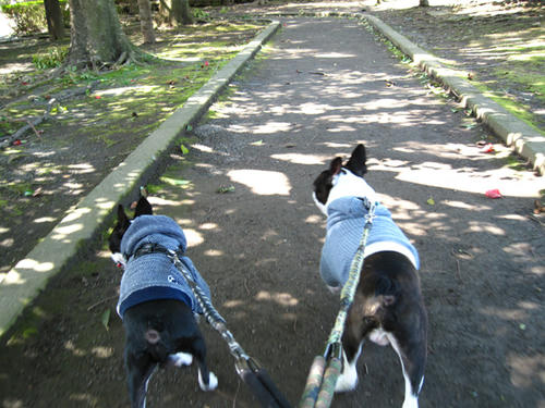 20090315_kouryoupark12.jpg