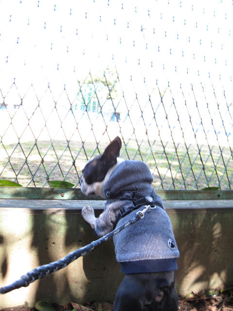 20090315_kouryoupark13.jpg