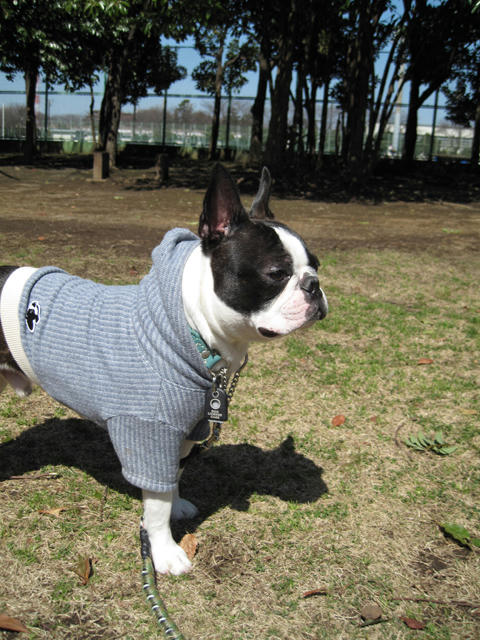 20090315_kouryoupark14.jpg