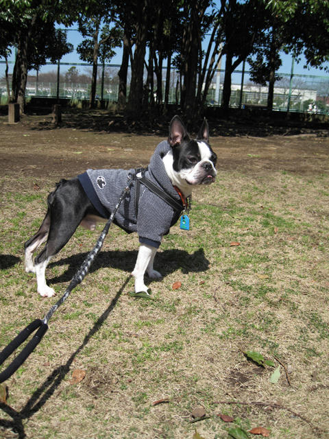 20090315_kouryoupark15.jpg
