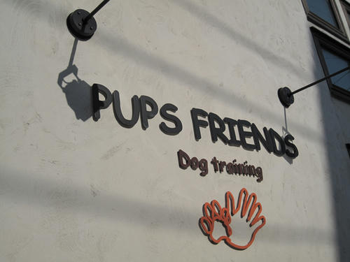 20090315_pups11.jpg