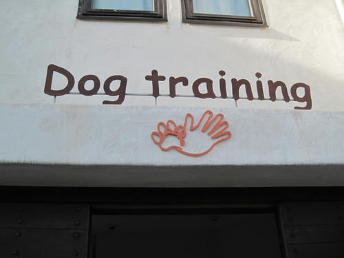 20090315_pups09.jpg