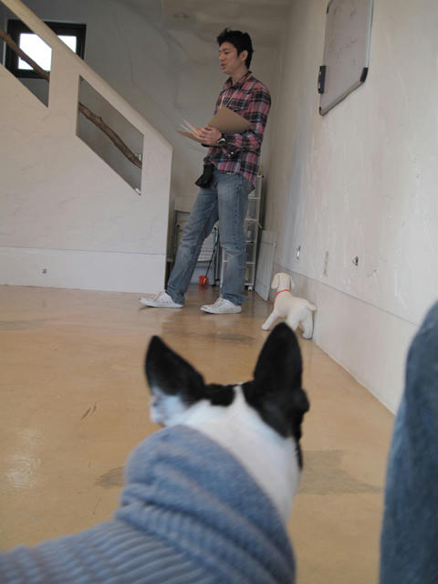 20090315_pups01.jpg