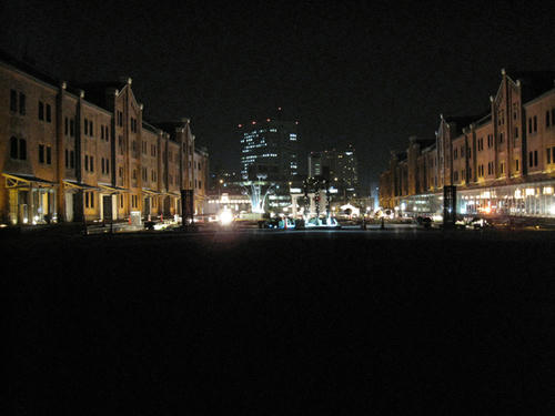 20090316_akarenga06.jpg