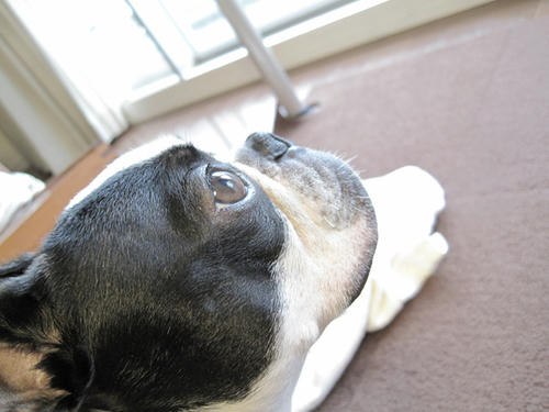 20090320_morning02.jpg