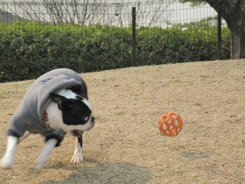 20090321_sanosa05.jpg