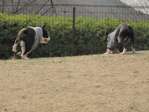 20090321_sanosa08.jpg