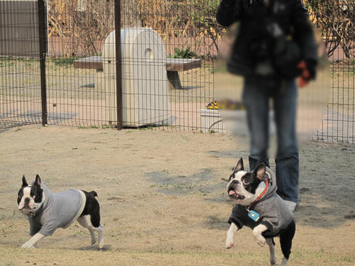 20090321_sanosa10.jpg