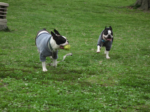 20090328_rinkopark01.jpg