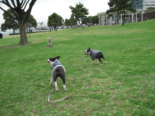 20090328_rinkopark02.jpg