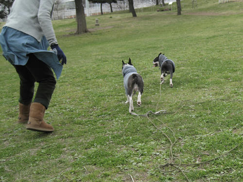 20090328_rinkopark06.jpg