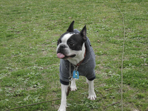 20090328_rinkopark08.jpg