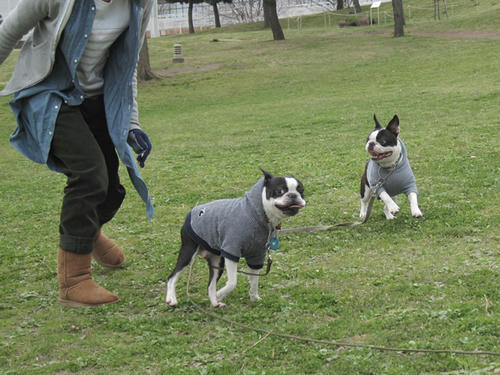 20090328_rinkopark09.jpg