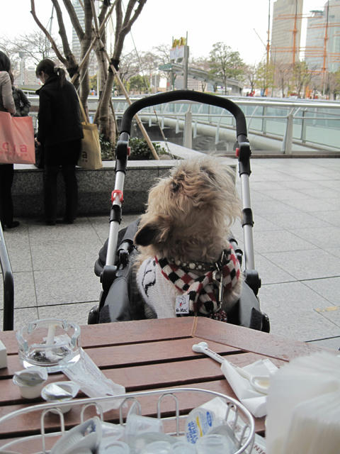20090328_den02.jpg