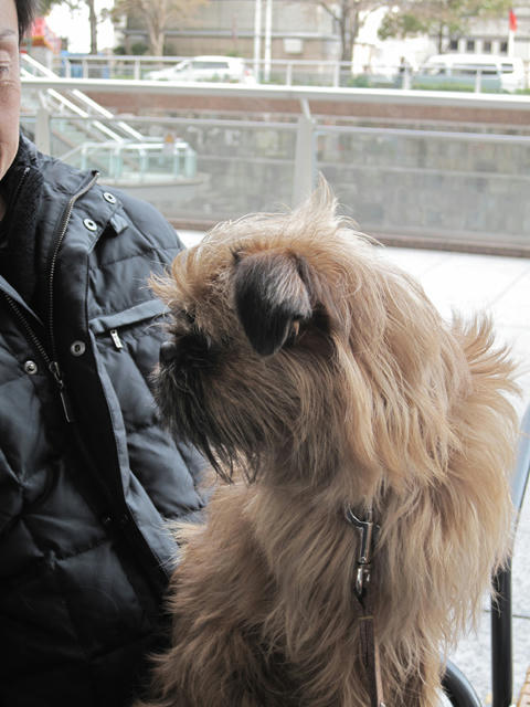 20090328_den05.jpg
