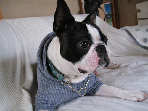 20090404_sanokoji06.jpg