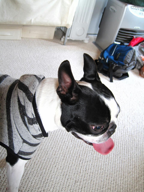 20090404_sanokoji08.jpg