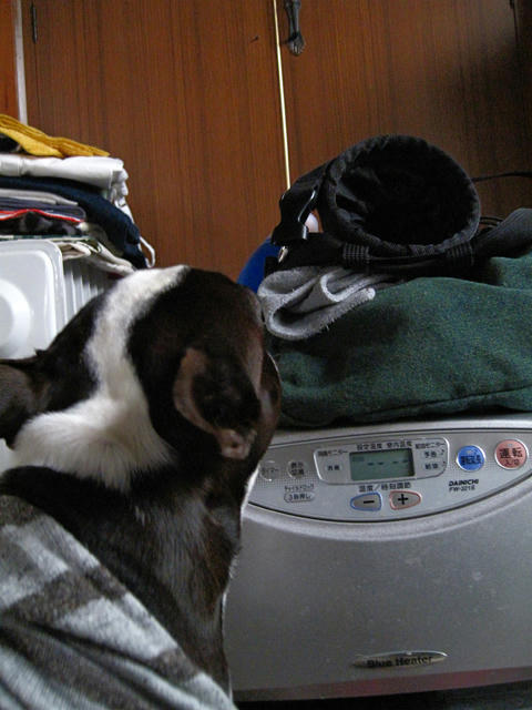 20090404_sanokoji11.jpg