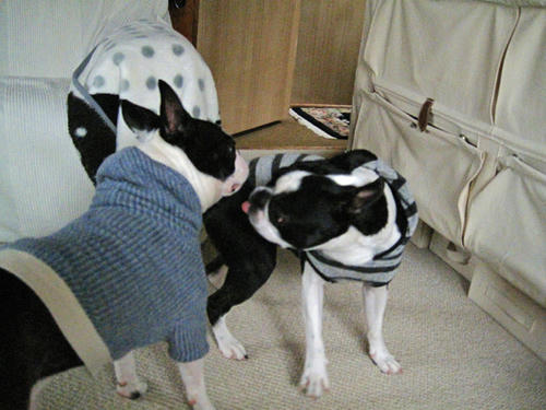 20090404_sanokoji16.jpg