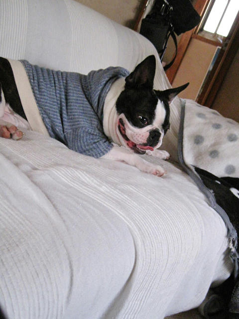 20090404_sanokoji19.jpg