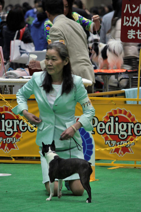 20090405_dogshow08.jpg
