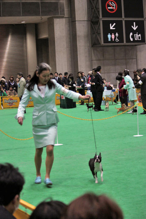 20090405_dogshow09.jpg