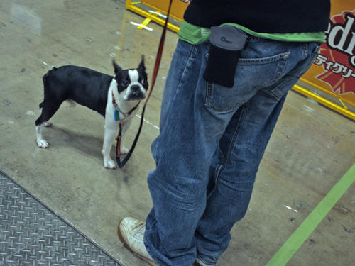 20090405_dogshow27.jpg