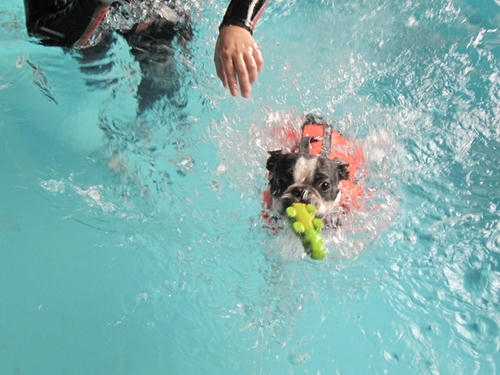20090405_tsunayoshi08.jpg