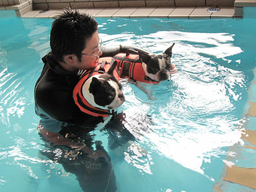 20090405_tsunayoshi15.jpg