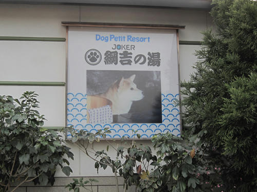 20090405_tsunayoshi20.jpg