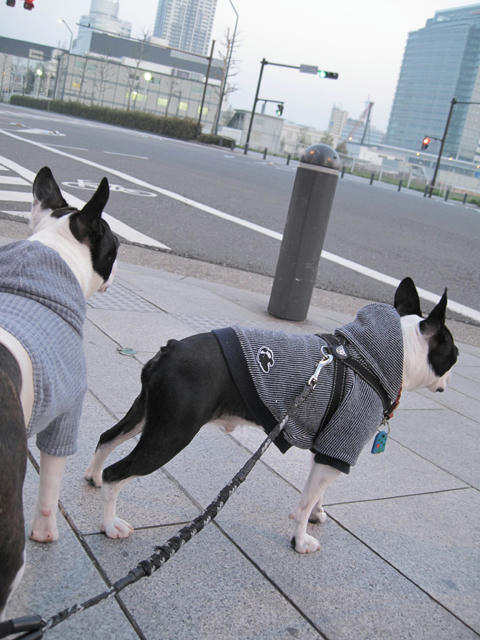 20090409_sanpo03.jpg