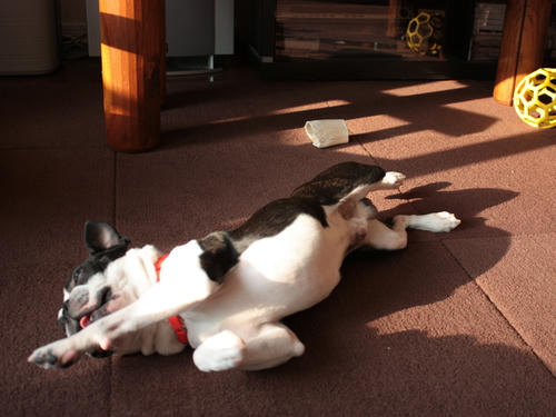 20090409_morning03.jpg