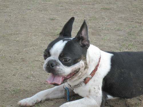 20090411_jonanjima02.jpg