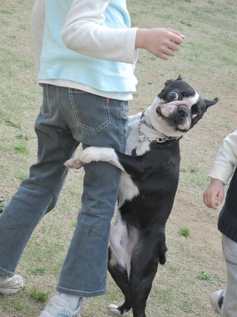 20090412_tc07.jpg