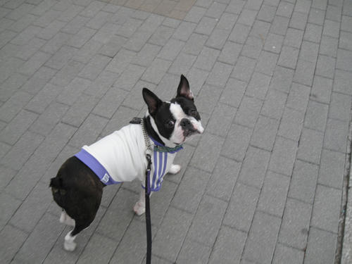 20090424_sanpo08.jpg