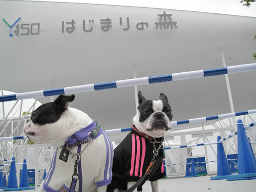 20090424_Y150_02.jpg