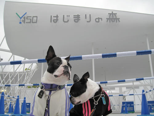20090424_Y150_03.jpg