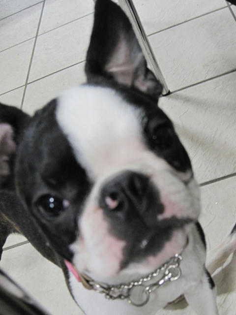 20090426_tc19.jpg