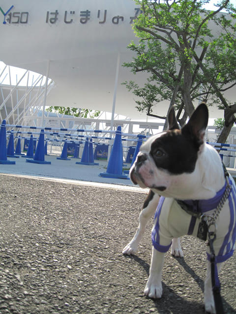 20090429_sanpo08.jpg