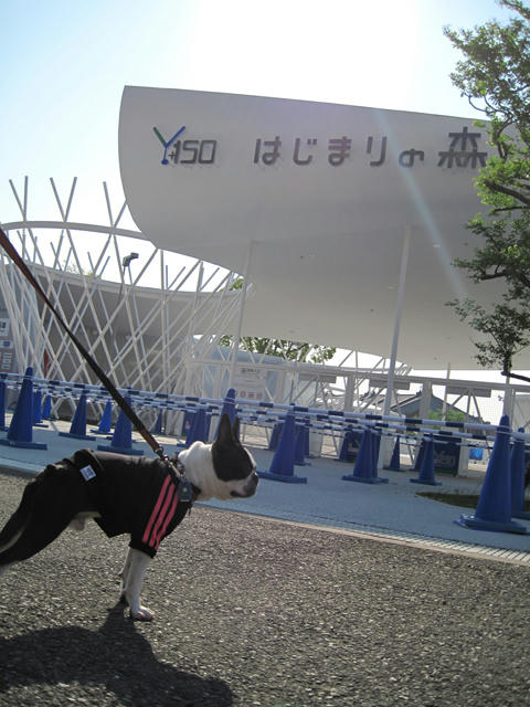 20090429_sanpo09.jpg