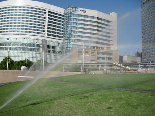 20090429_sanpo12.jpg